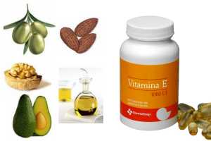 Una alimentación variada: Propiedades de la Vitamina E